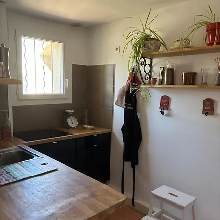 Mas De La Morvenede Ferienhaus Sanary-sur-Mer